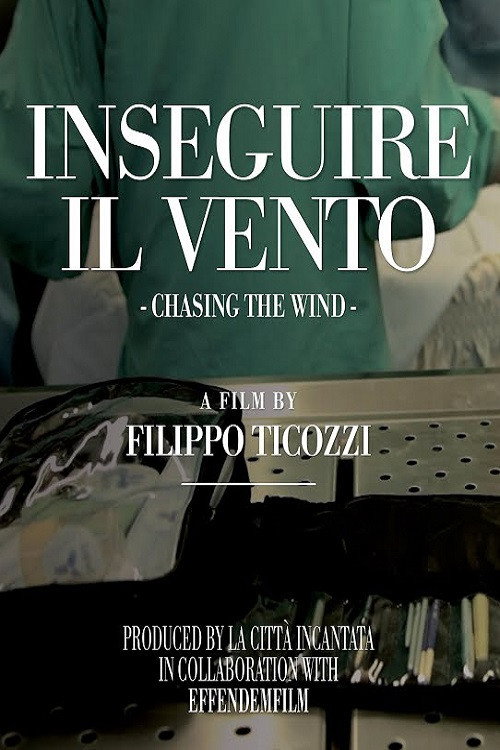 Movie poster for Chasing The Wind (2014)