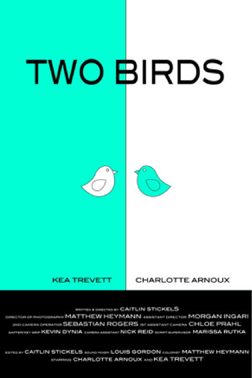Movie poster for Two Birds (2016)