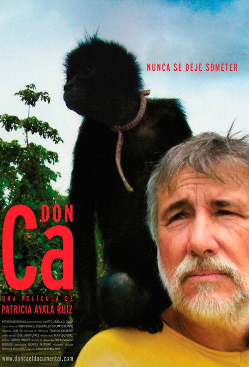 Movie poster for Mr. Ca (2013)