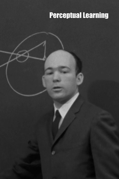 Movie poster for Perceptual Learning (1965)