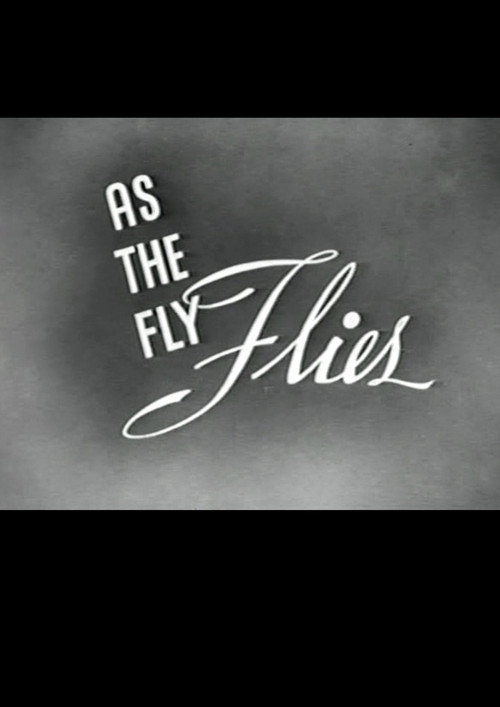 Movie poster for As the Fly Flies (1944)