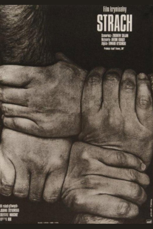 Movie poster for Strach (1975)