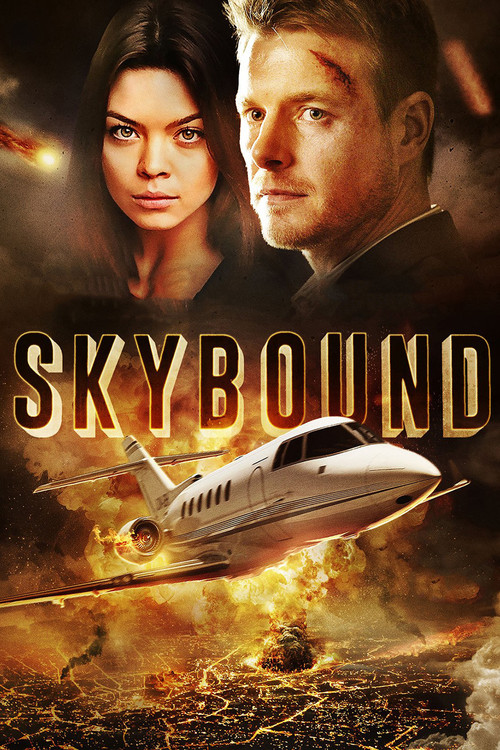 Movie poster for Skybound (2017)
