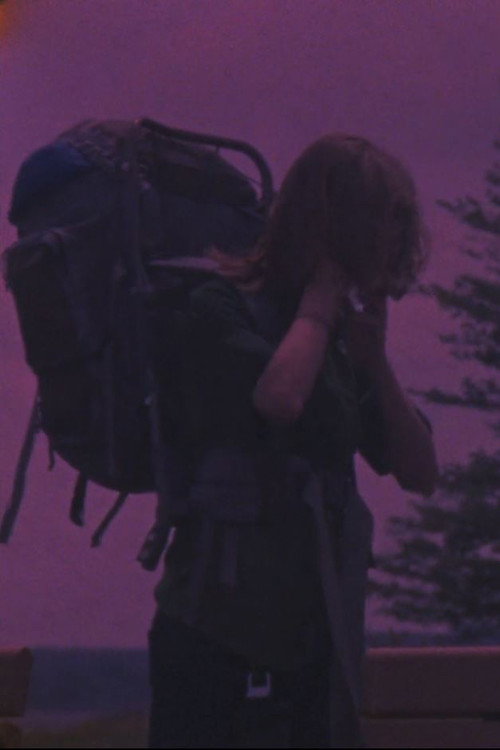 Movie poster for Natural Order (2017)