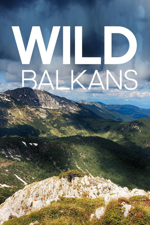 Movie poster for Wild Balkans (2009)