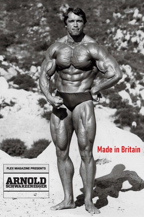 Movie poster for Arnold: Made in Britain (2006)