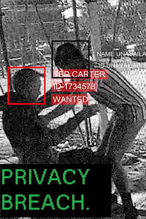 Movie poster for Privacy Breach (2020)
