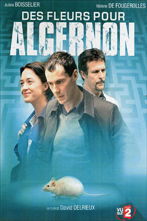 Movie poster for Des fleurs pour Algernon (2006)