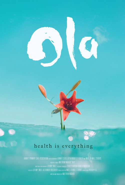 Movie poster for Ola: Health is Everything (2013)