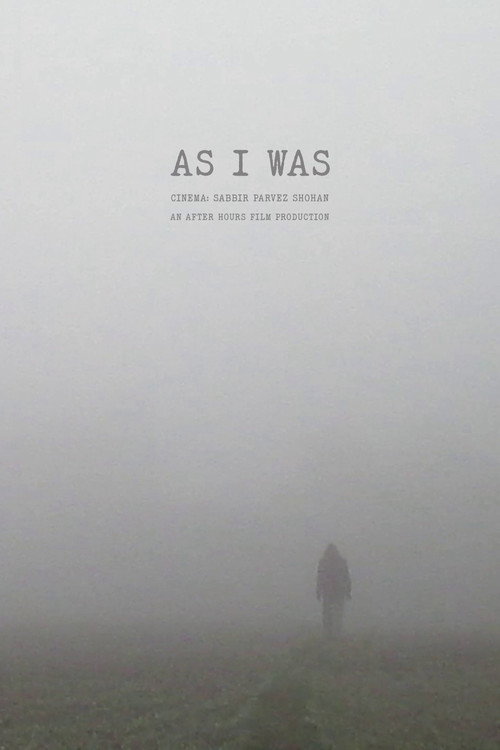 Movie poster for As I Was (2023)