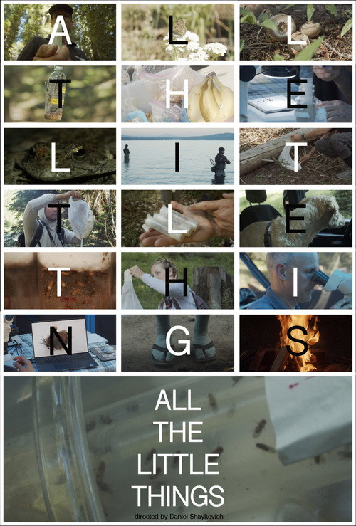 Movie poster for All the Little Things (2024)