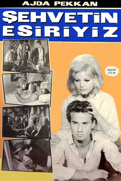 Movie poster for Şehvetin Esiriyiz (1965)
