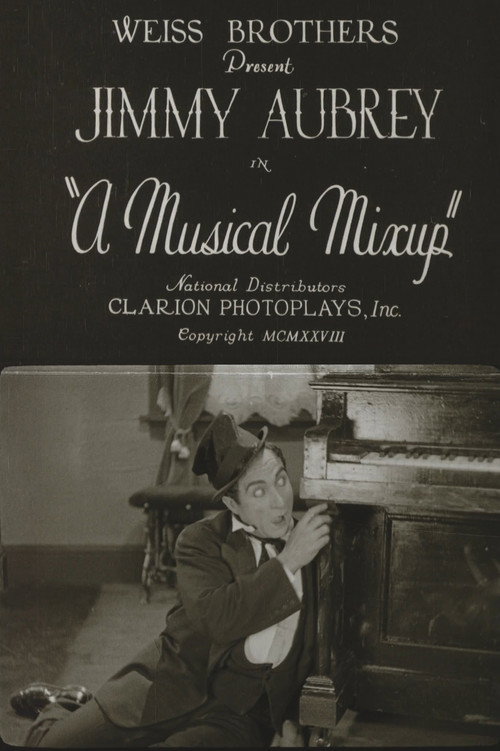 Movie poster for A Musical Mixup (1928)