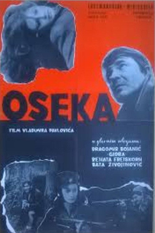 Movie poster for Low Tide (1969)