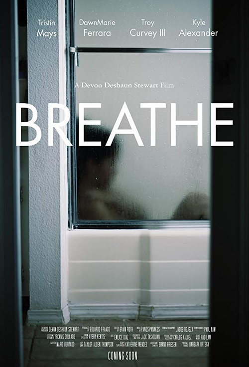 Movie poster for Breathe (2019)