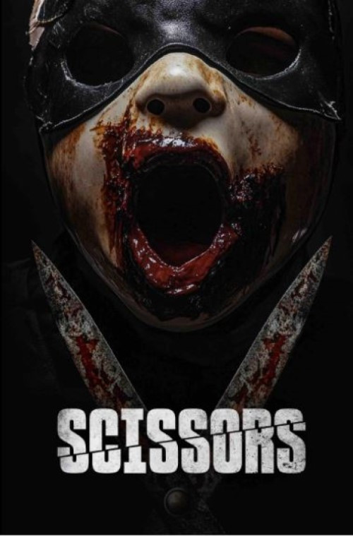 Movie poster for Scissors (2025)