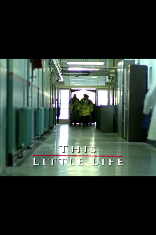 Movie poster for This Little Life (2003)