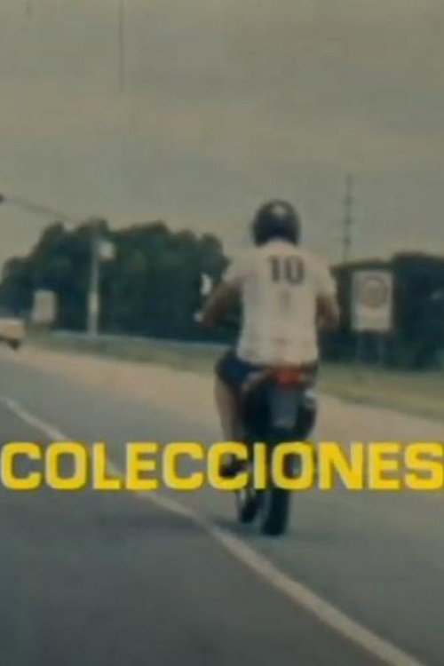Movie poster for Collections (2013)