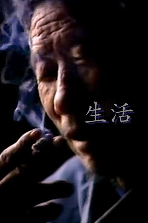Movie poster for Life (2003)