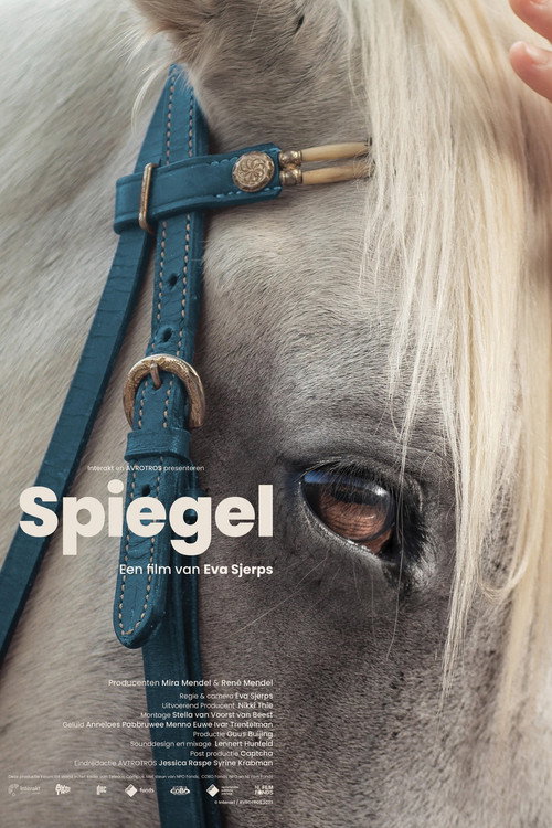 Movie poster for Spiegel (2023)