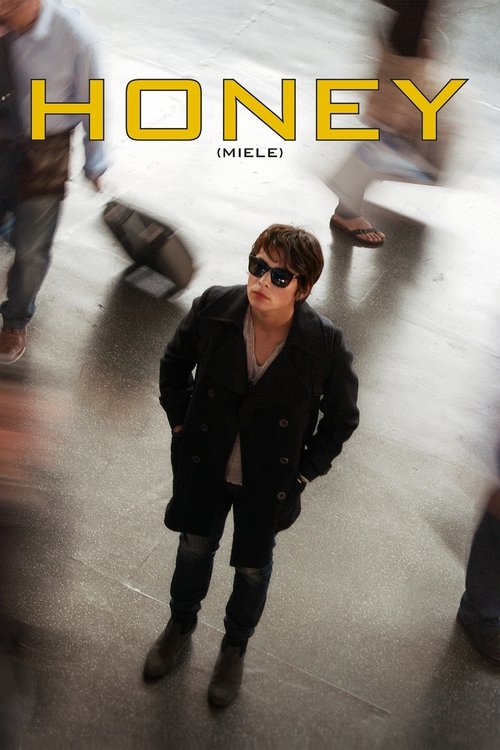 Movie poster for Honey (2013)