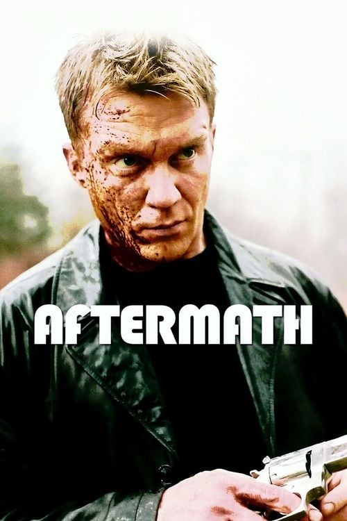 Movie poster for Aftermath (2013)