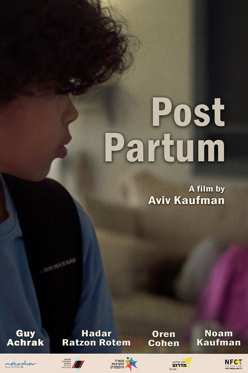 Movie poster for Post Partum (2024)