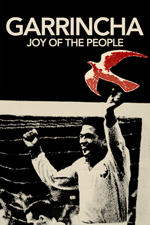 Movie poster for Garrincha: Joy of the People (1962)