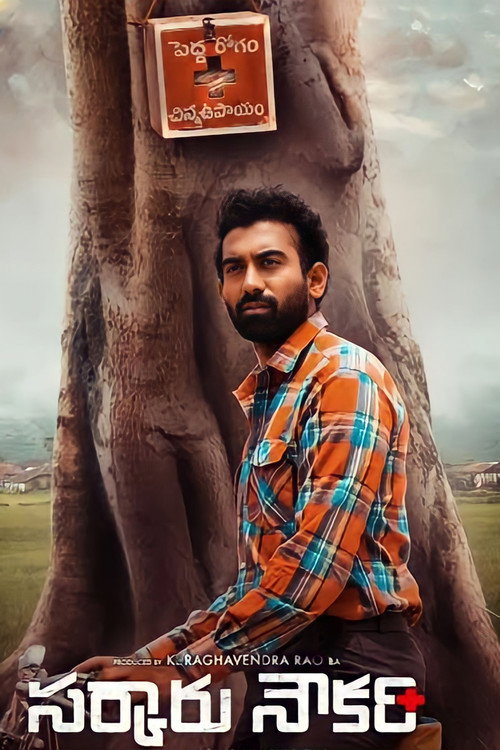Movie poster for Sarkaaru Noukari (2024)