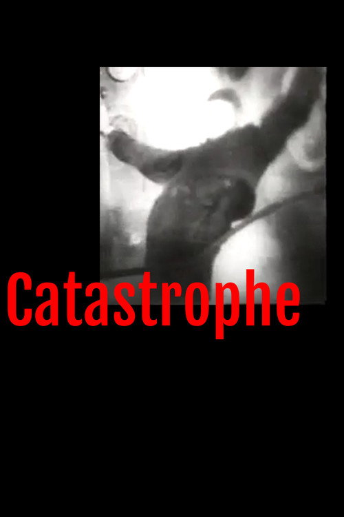 Movie poster for Catastrophe (2025)