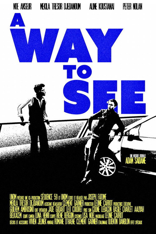 Movie poster for A Way To See