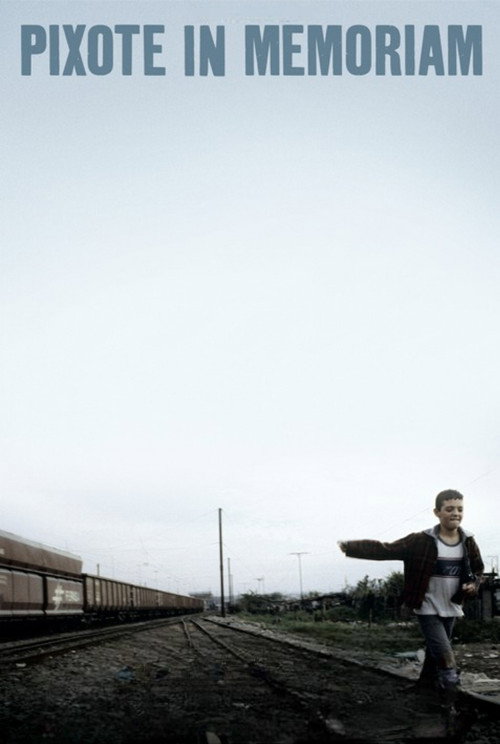 Movie poster for Pixote In Memoriam (2007)