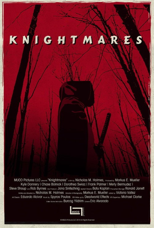Movie poster for Knightmares