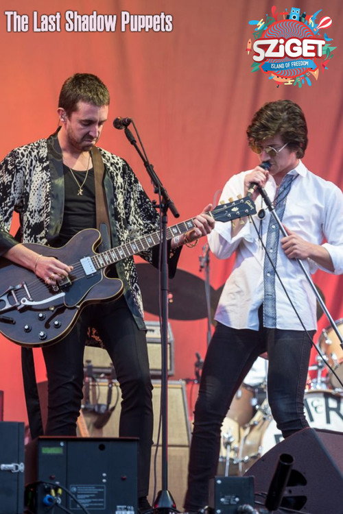 Movie poster for The Last Shadow Puppets at Sziget Festival (2016)