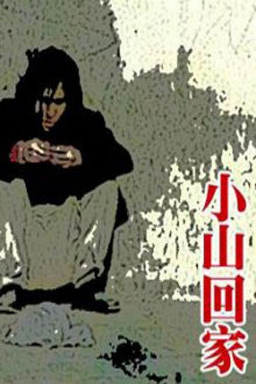 Movie poster for Xiao Shan Going Home (1995)