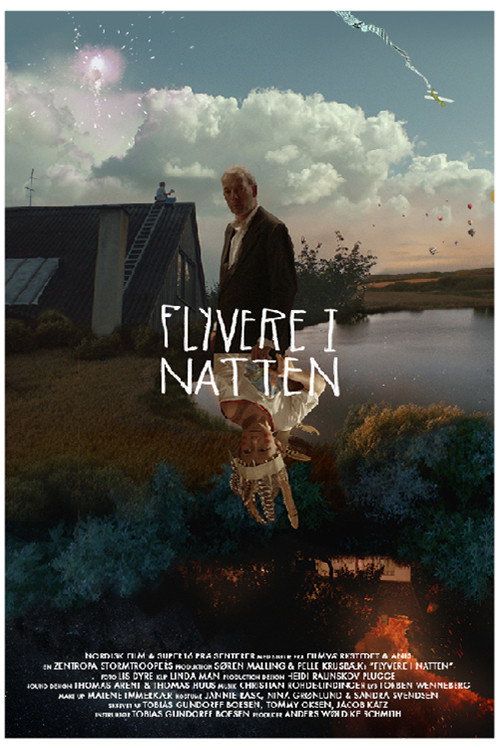 Movie poster for Planes in the Night (2014)