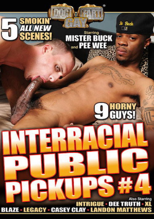 Movie poster for Interracial Public Pickups 4 (2015)