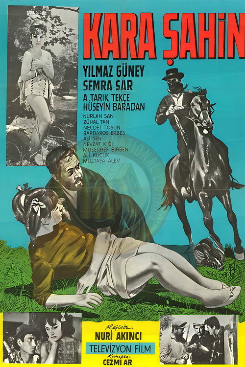 Movie poster for Kara Şahin (1964)