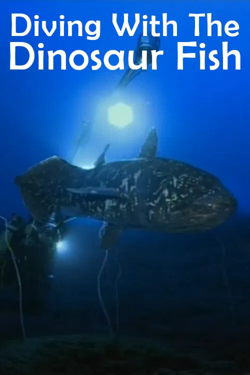 Movie poster for Diving With The Dinosaur Fish (2014)