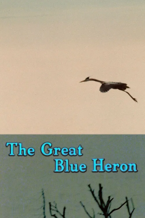 Movie poster for The Great Blue Heron (1979)