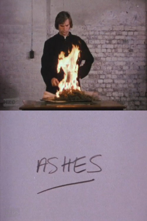 Movie poster for Ashes (1975)
