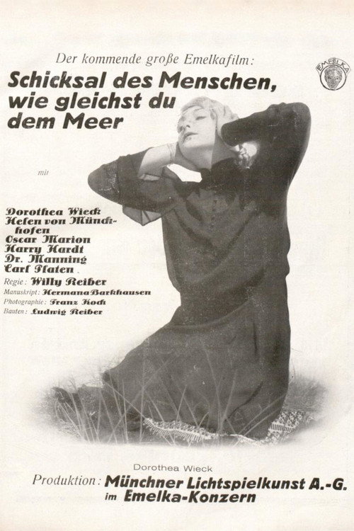 Movie poster for Sturmflut (1927)