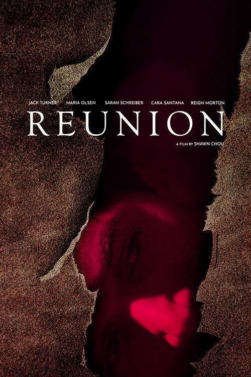 Movie poster for Reunion (2015)