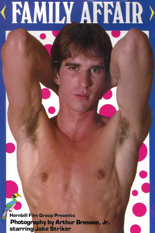 Movie poster for Family Affair (1982)
