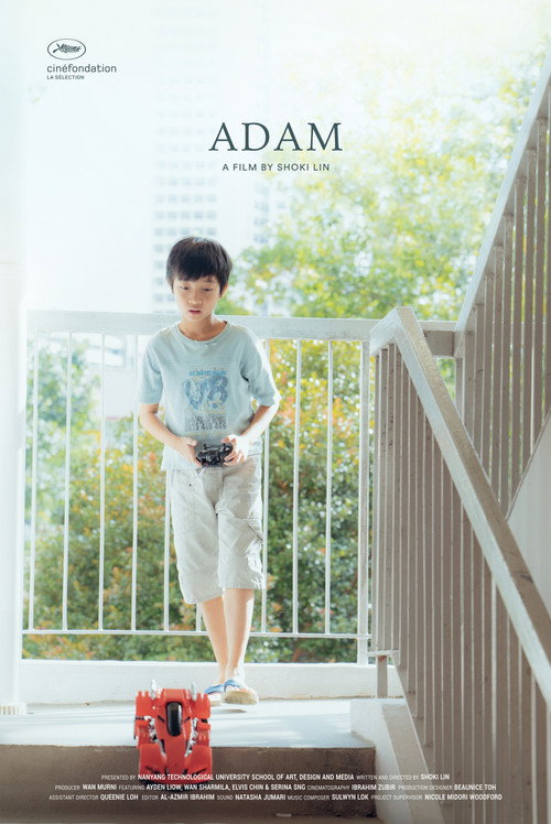 Movie poster for Adam (2019)