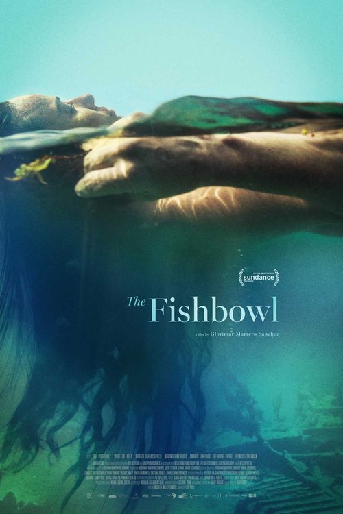 Movie poster for The Fishbowl (2023)