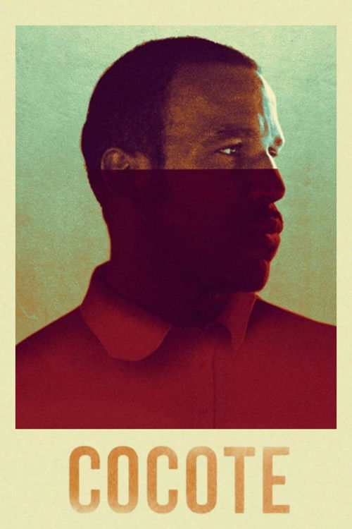 Movie poster for Cocote (2017)