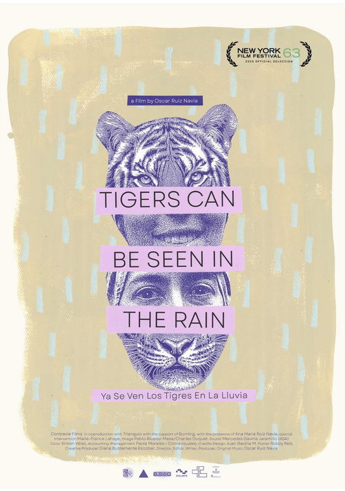Movie poster for Tigers Can Be Seen In The Rain (2025)