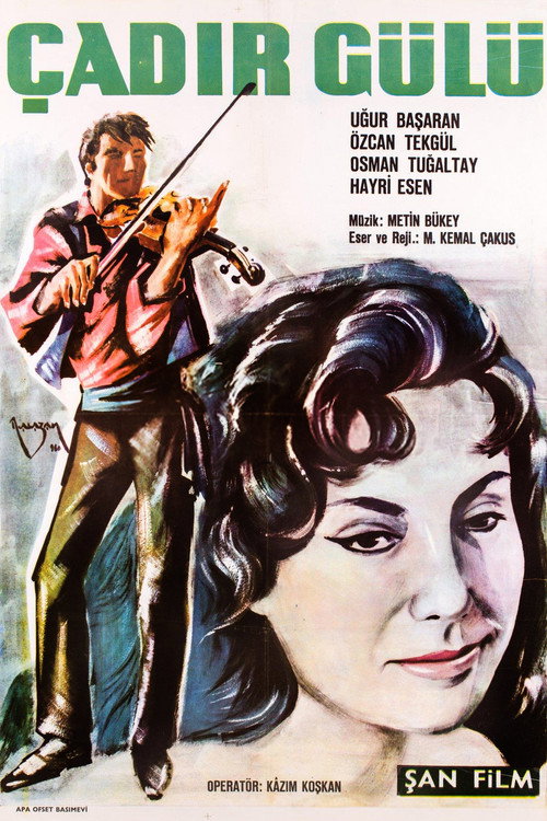 Movie poster for Çadır Gülü (1963)