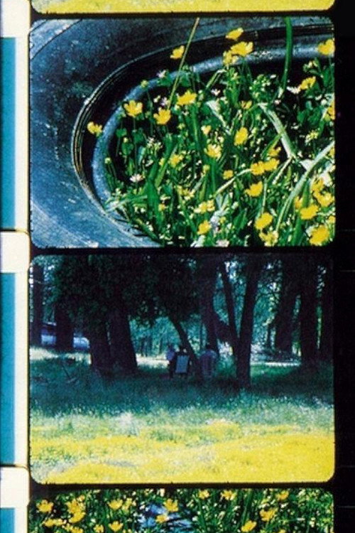 Movie poster for Bouquets 1-10 (1995)